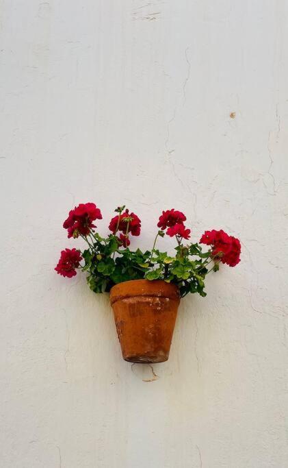 Couples Only, Beautiful 1 Bedroom Apartment In Victoria Building Mojácar Εξωτερικό φωτογραφία